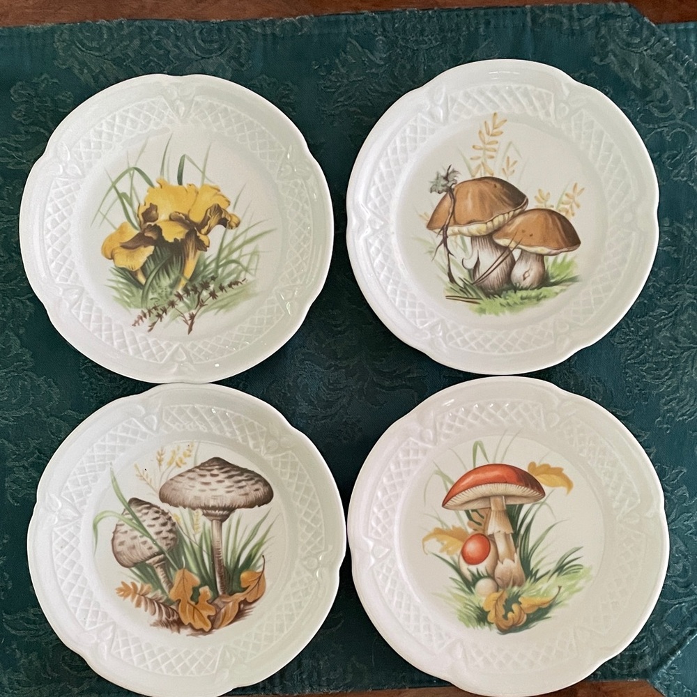 4 precious vintage berry mushroom plates from France.